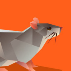 Полигональная крыска