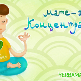 Мате — это концентрация