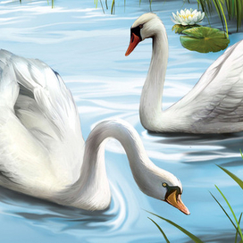 Лебединая пара