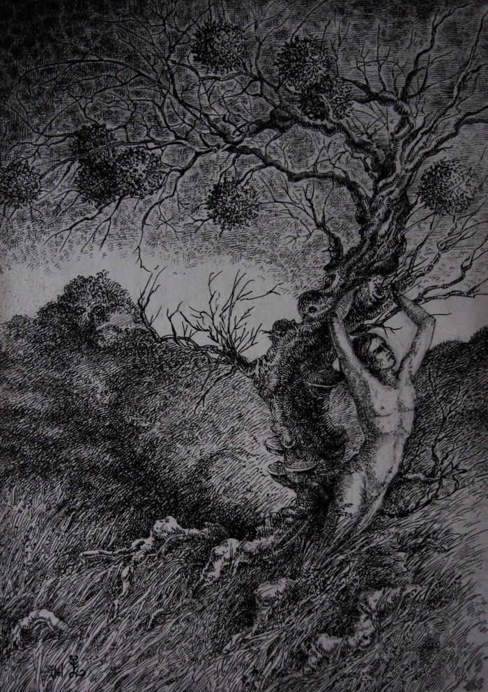 Древо Иггдрасиль