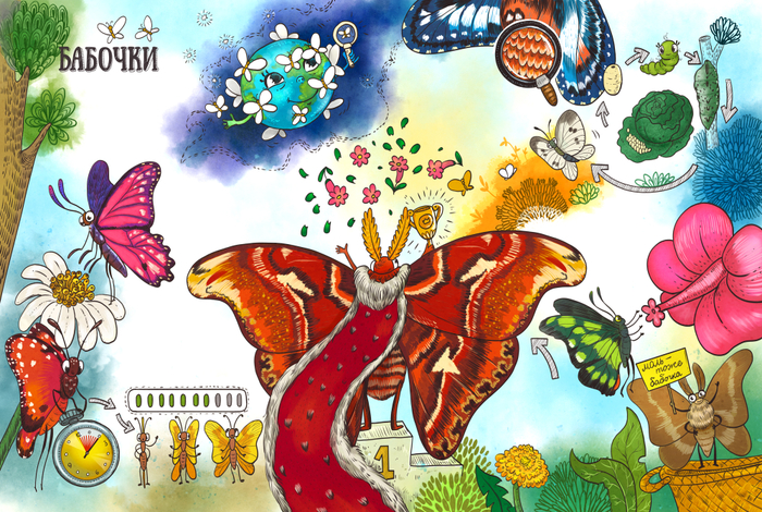 Такие разные бабочки