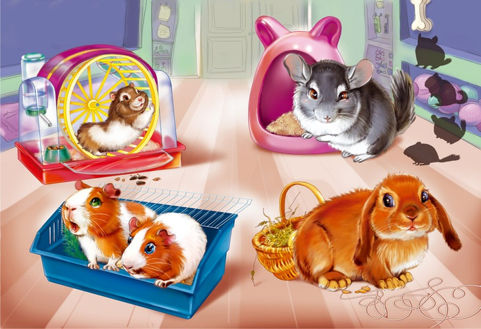 Шиншилла и компания