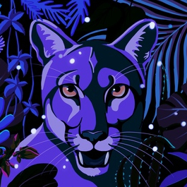 Тропикиночь