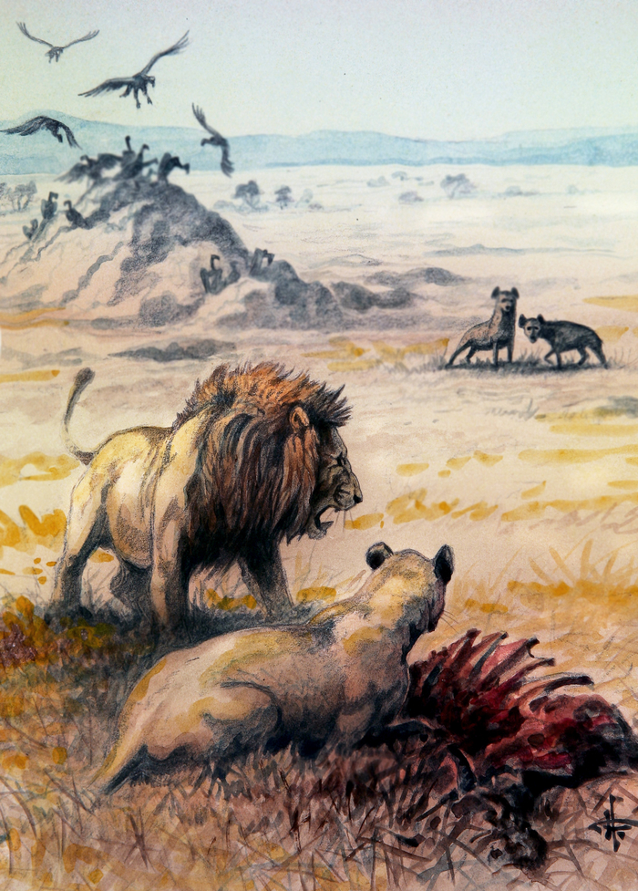 На добыче...