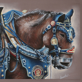 Лошади на Ockoberfest