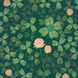 Клевер 🍀
