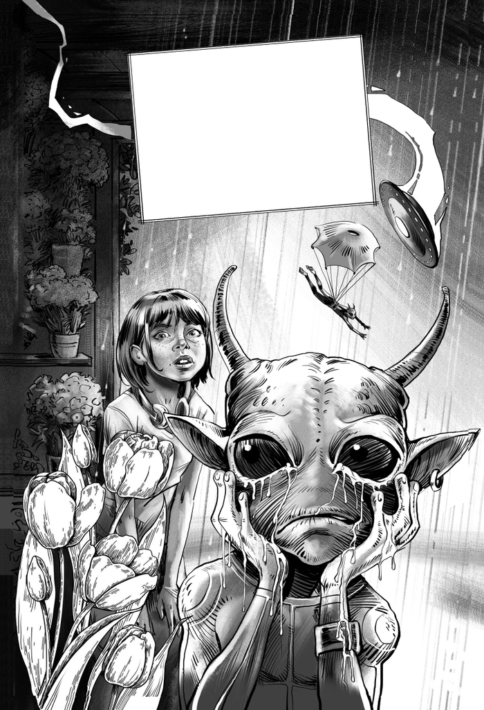 Шмуц к книге