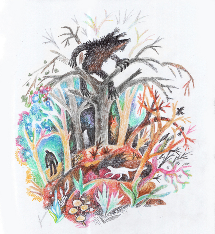 Таинственный лес