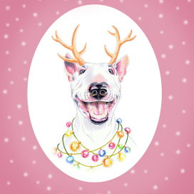 Бультерьер