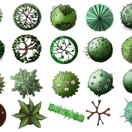 Условные обозначения кустов и деревьев