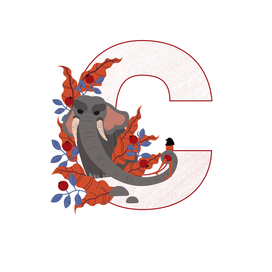 C - is Colonel Hathi