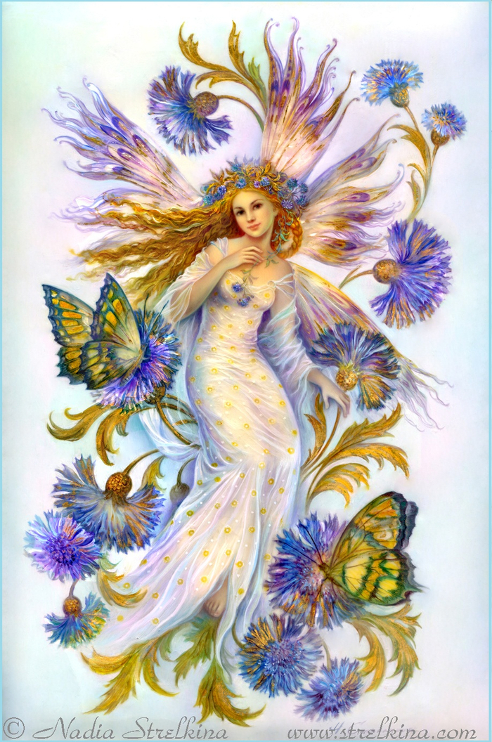 Васильковая фея