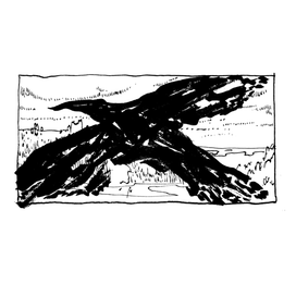 Большой ворон