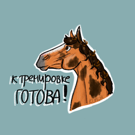К тренировке готова