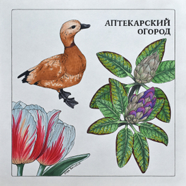 Аптекарский огород