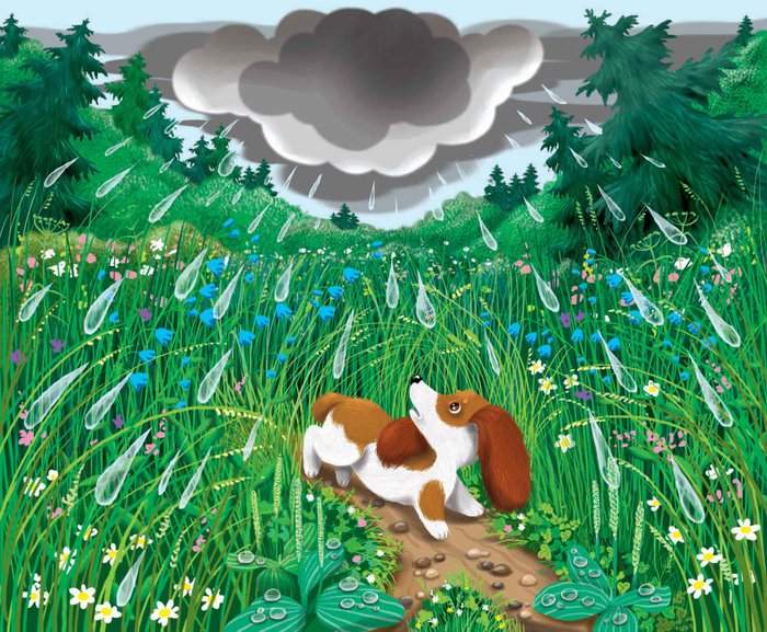 иллюстрация 2-5