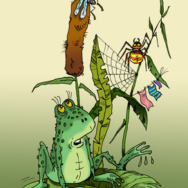 Июль на Волге!