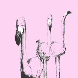 Flamingo Thinking