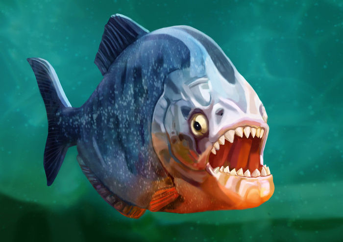 Рыбки разными бывают