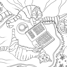 коты и книга