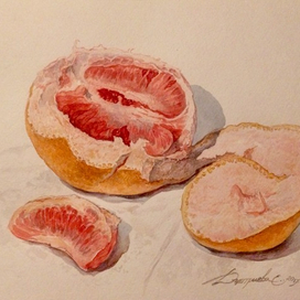 "Грейпфрут#