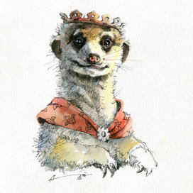 "Принц Сурикат"