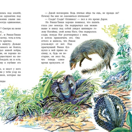 Рикки Тикки Тави