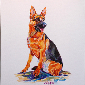 Алгоритм Фара (Джесси), акварель