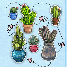 Кактусовый стикерпак