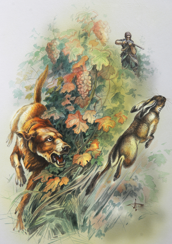 За зайцем...