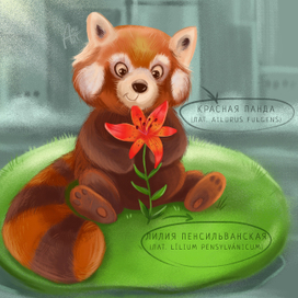 Красная книга