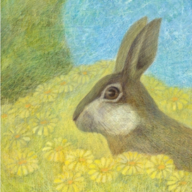 Мак-Кодрам Тюлений 3