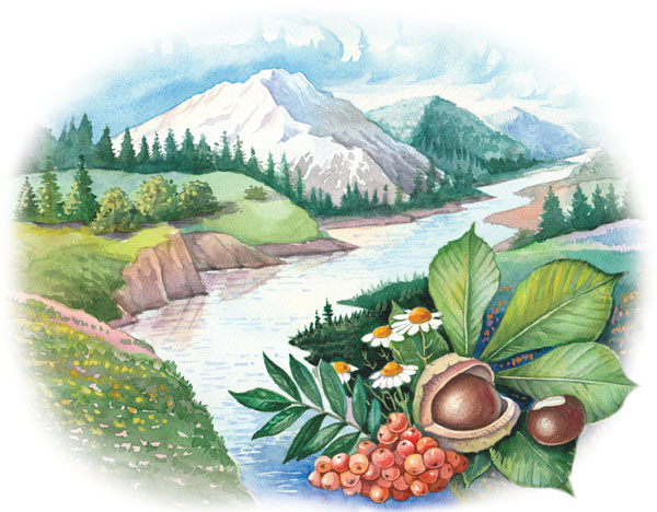 Иллюстрация для упаковки косметической продукции