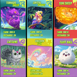 карточная игра