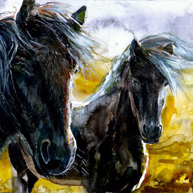 Шерстяные лошадки