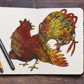 петух цветной