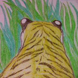 Тигр в зарослях