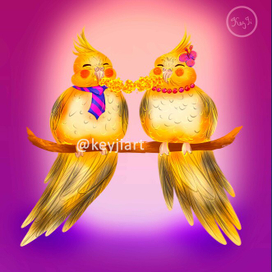 Попугаи Джон и Люси