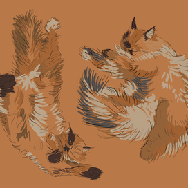 танец маленьких котят