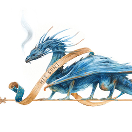 Здесь обитают драконы