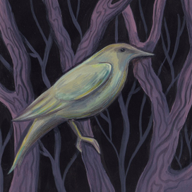 Лесные заметки