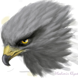 несгибаемое намерение