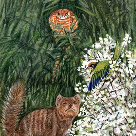 Рикки-Тики-Тави