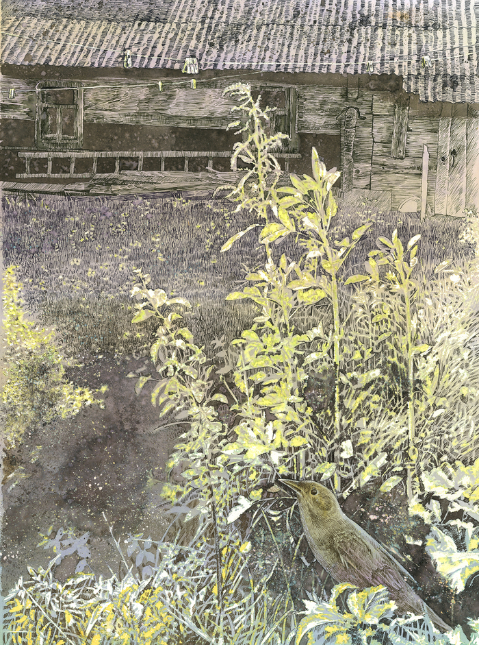 Солнце расплескалось