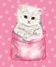 Котенок в кормашке