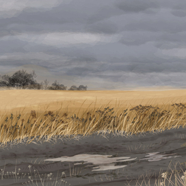 поздняя осень