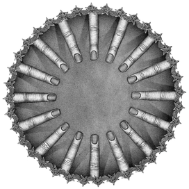 Холод. Сосульки.