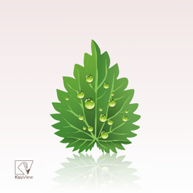 Тополиный листик