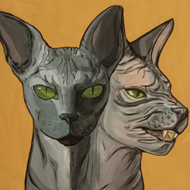 котики близнецы