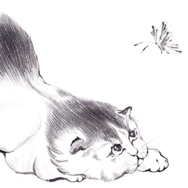 кошка с бабочкой